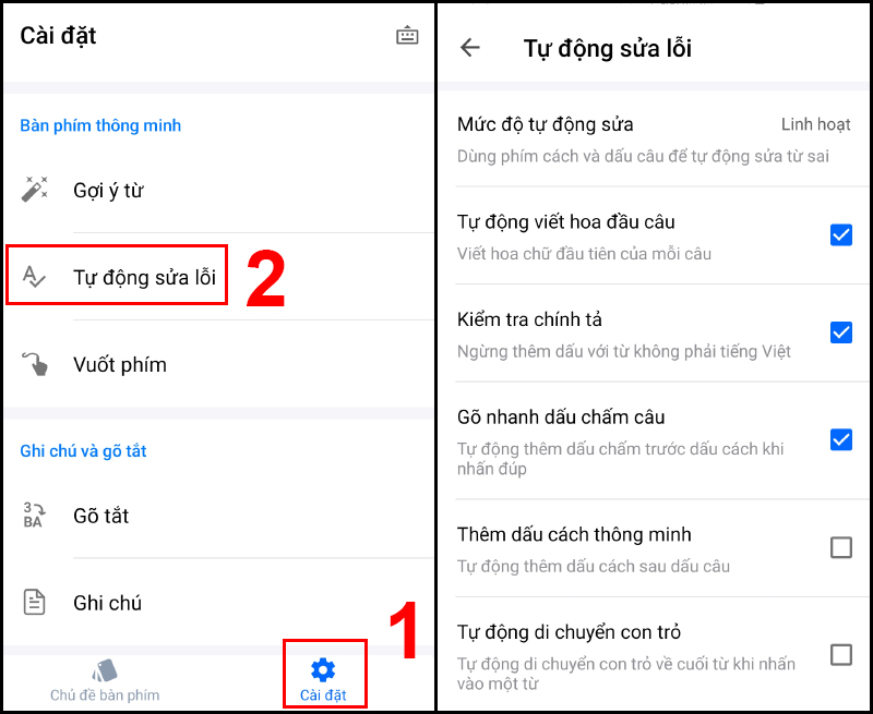 Giao diện tùy chỉnh Tự động sửa lỗi